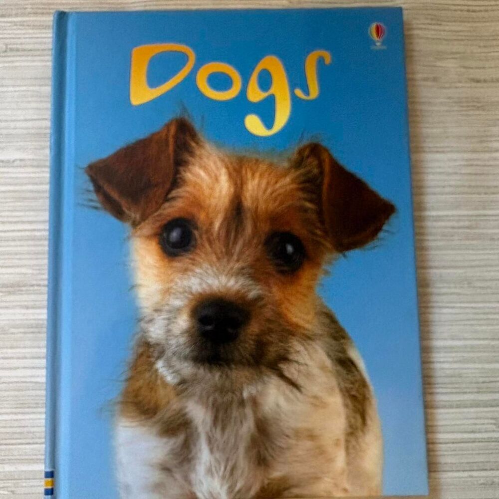 USBORNE Dogs beginners hardcover book great condition